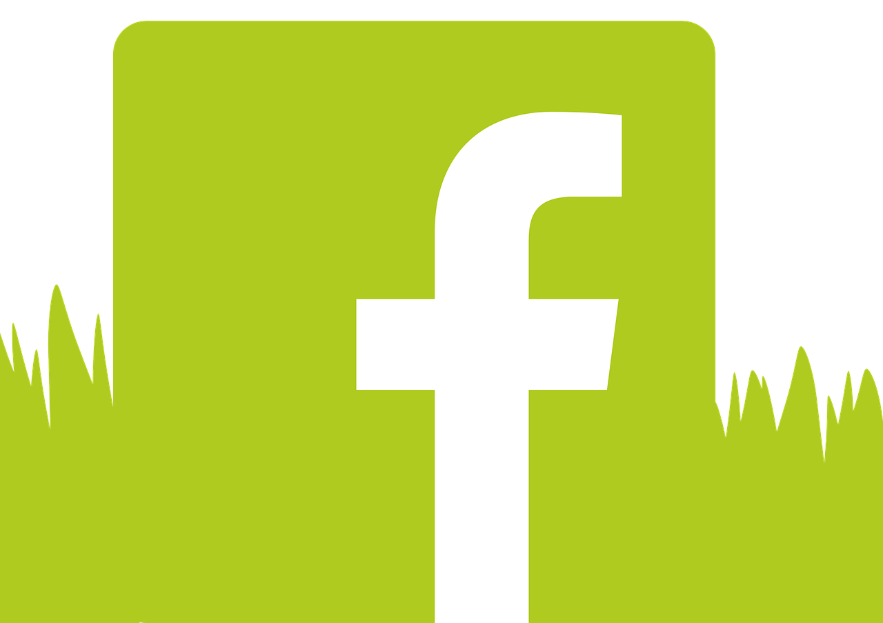 FB 1000-5000 BẠN BÈ 10-200 BÀI VIẾT CỔ 2010-2025